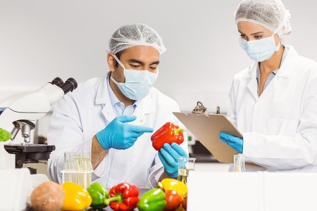 Food Quality Control & Assurance